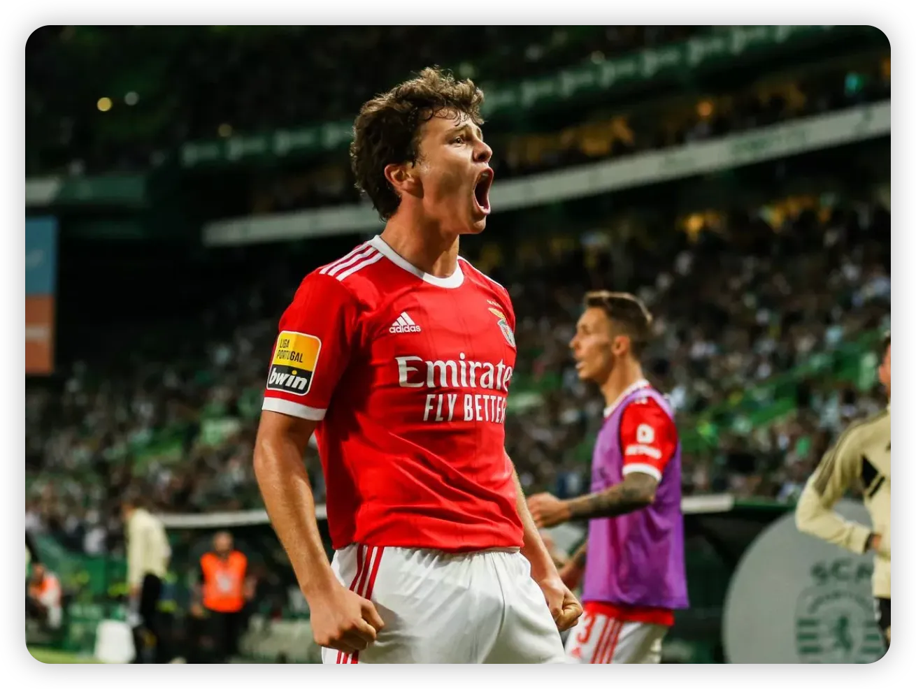 Benfica Denies Receiving Any Official Bids for Simao